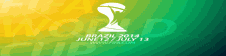 designLogo